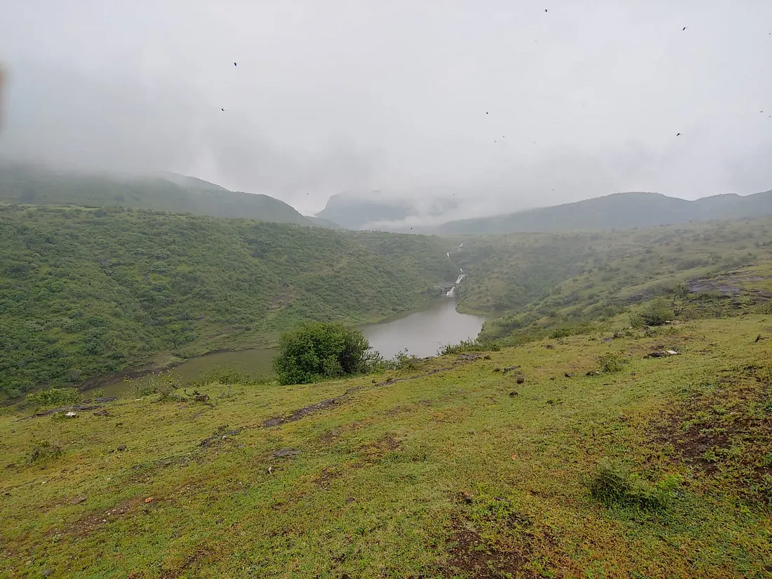 Lush Green Scenery